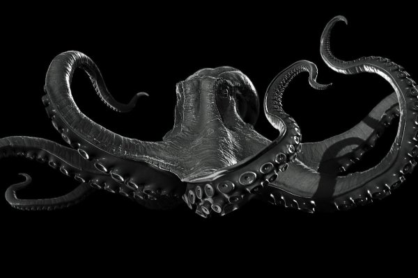 Kraken store